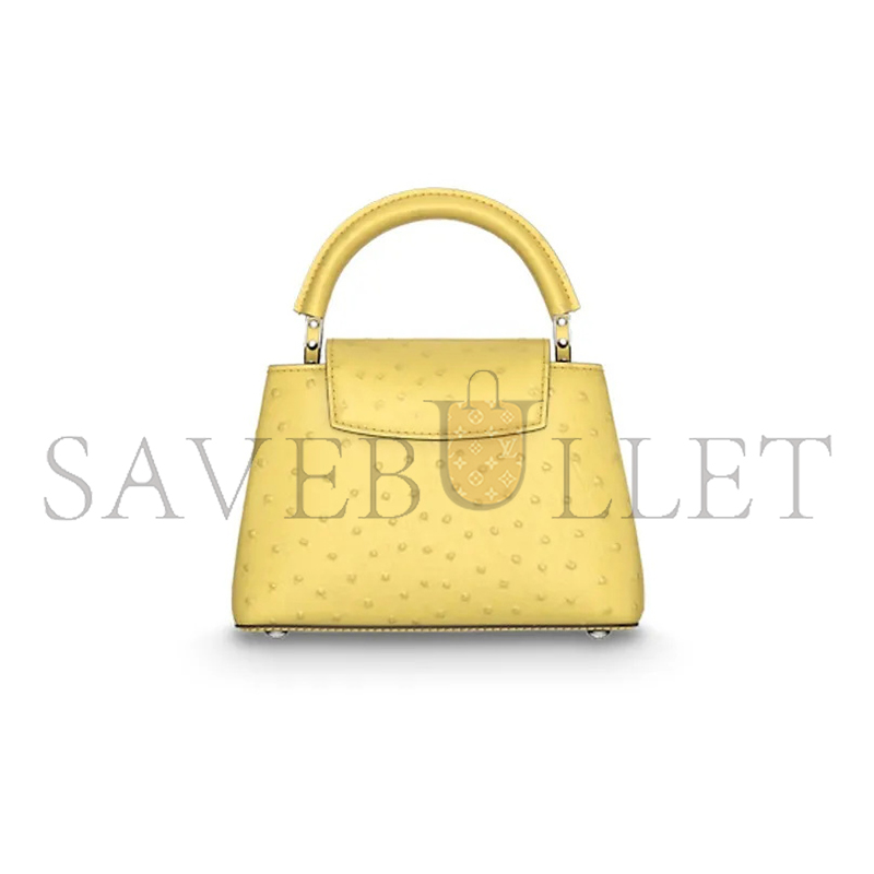 LOUIS VUITTON CAPUCINES MINI M95509 (21*14*8cm)